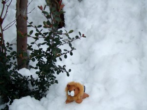 画像 005.jpg
