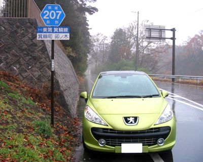 車ではないけど207