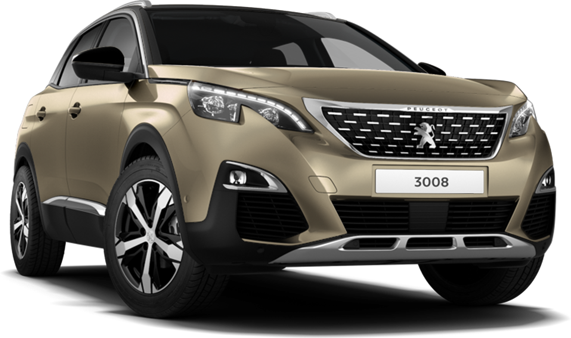 ３００８スペシャルエディション発表になりました。