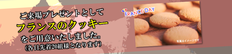 フランスディ