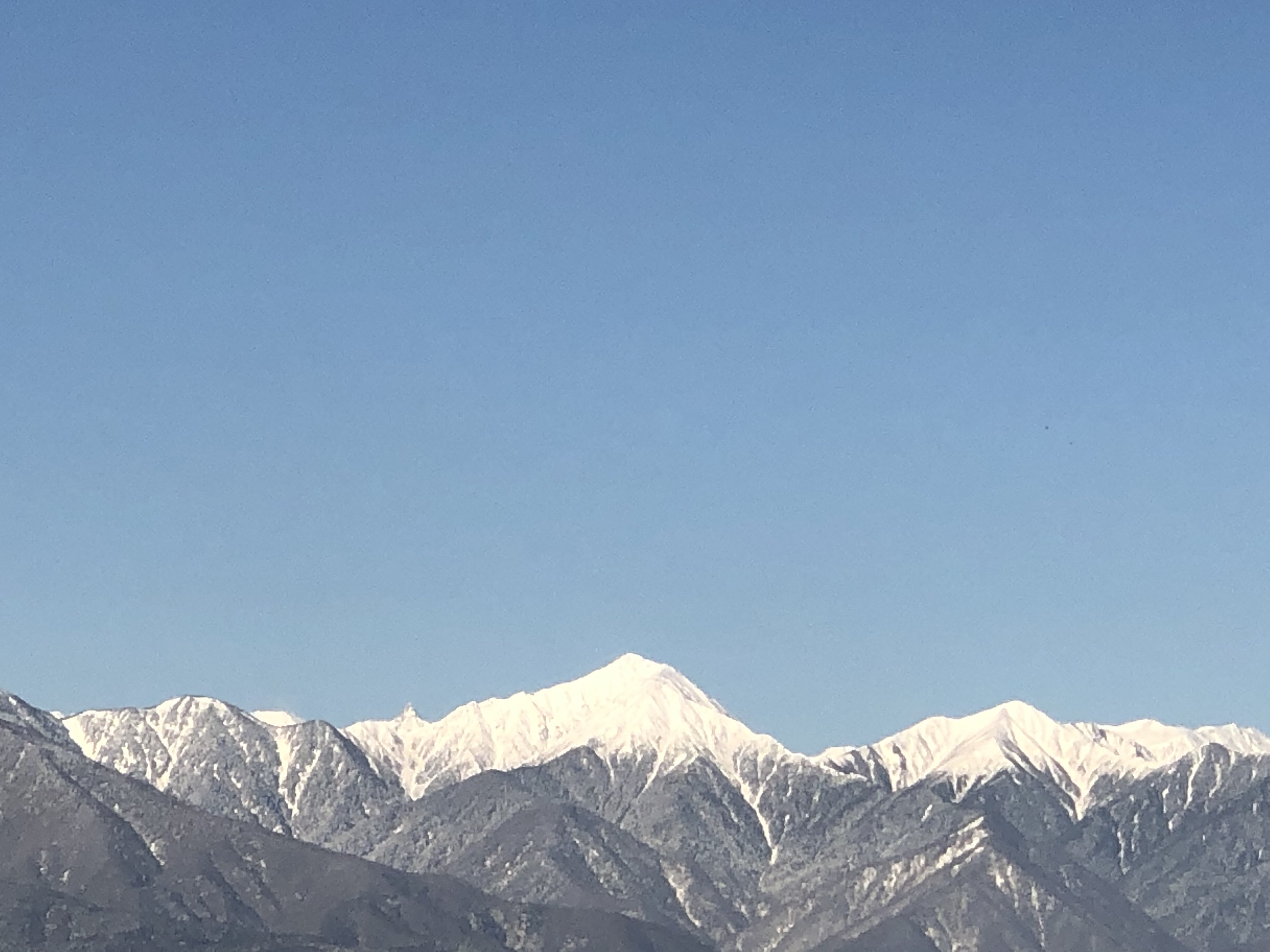 今年もよろしくお願いします