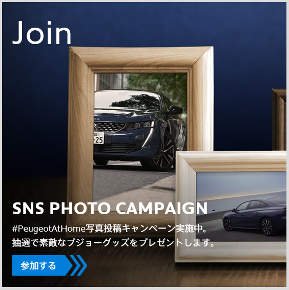 GWはお家でプジョー！