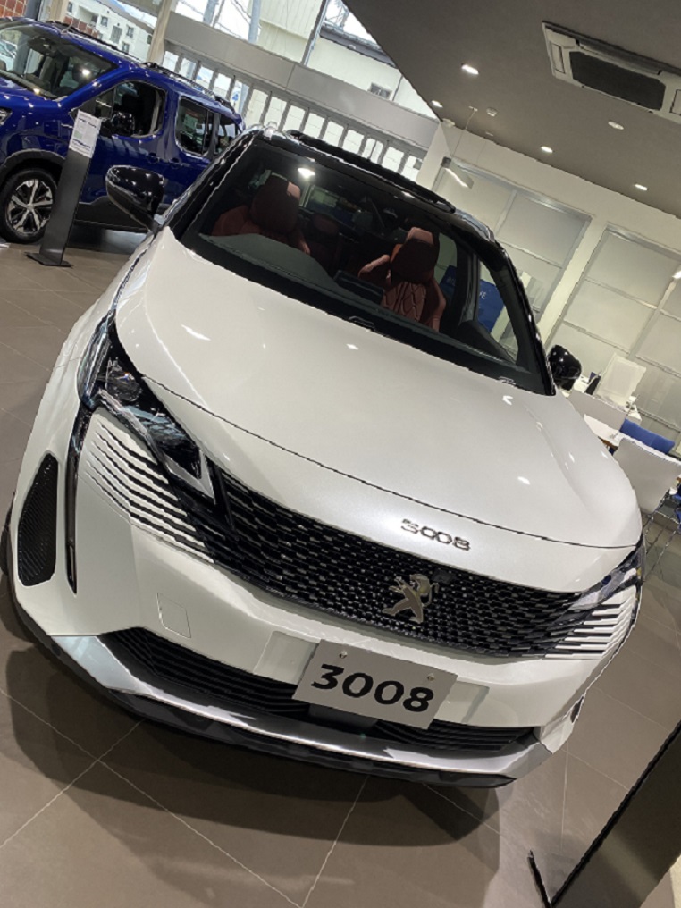 プジョー３００８特別仕様車「Red　Nappa」