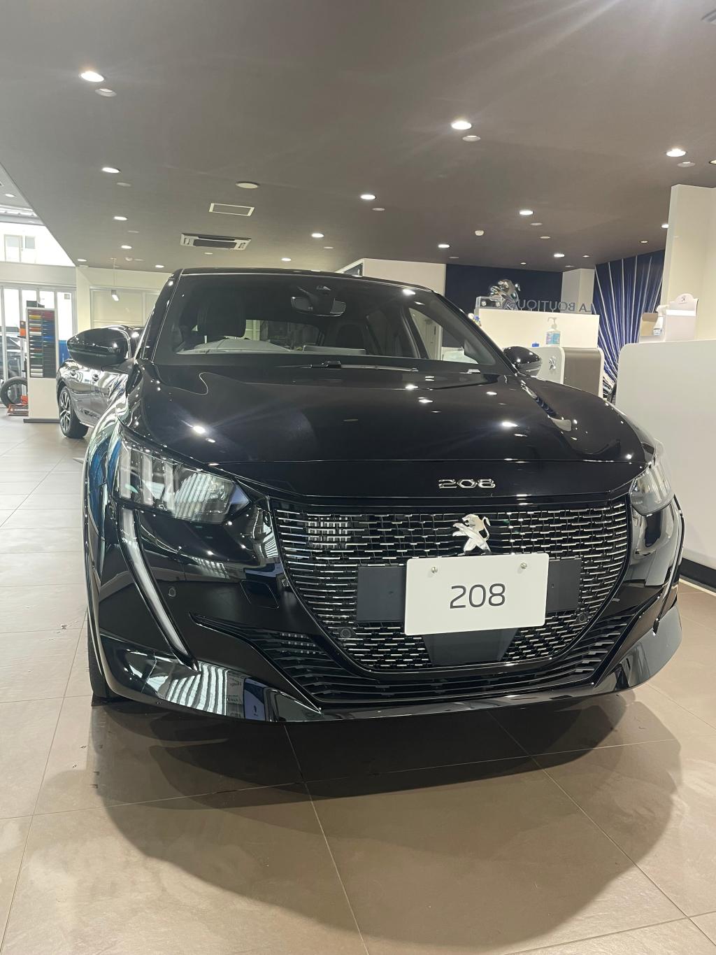 208GT 『ぺルラ・ネラ・ブラック』