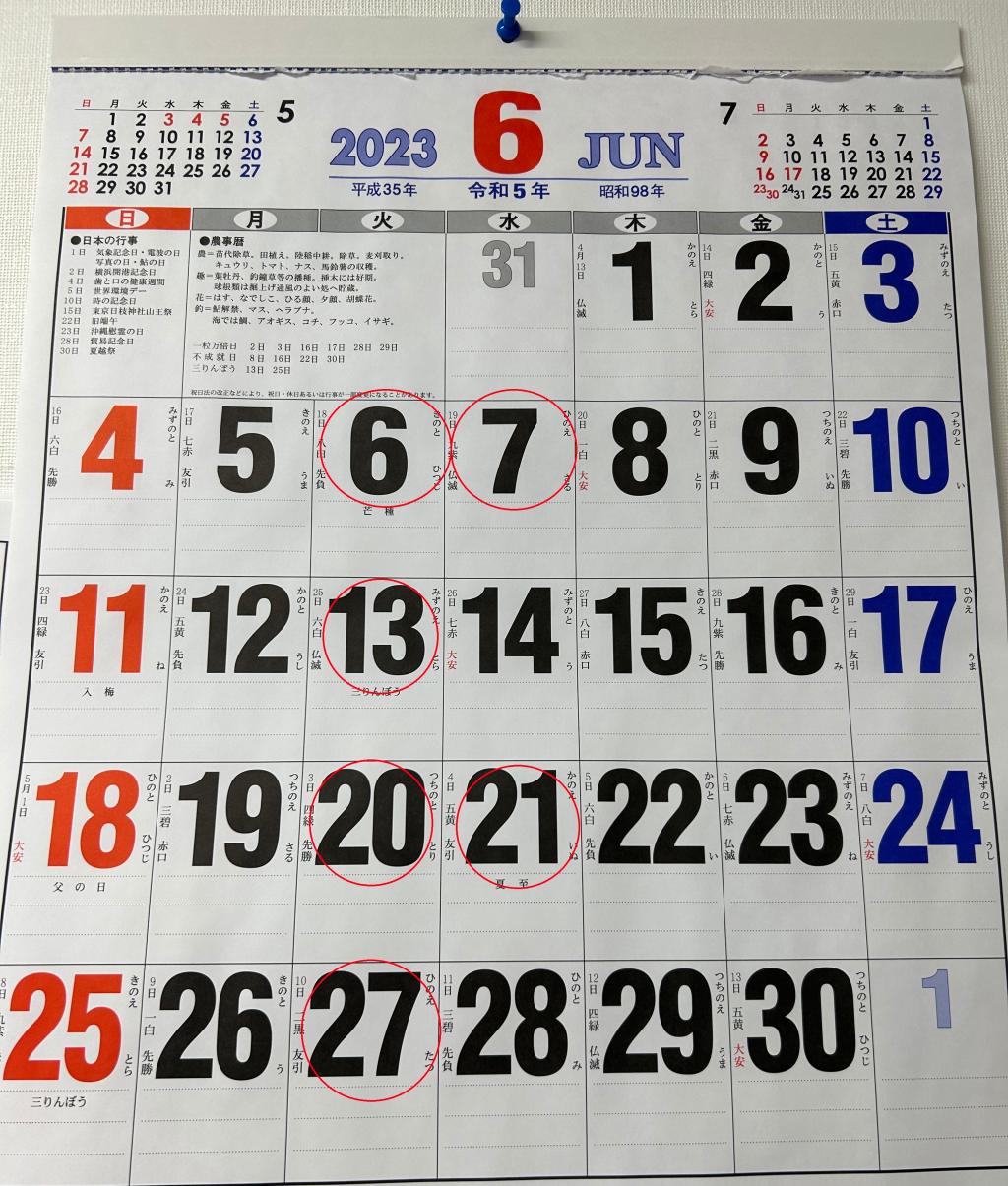 6月の定休日のご案内